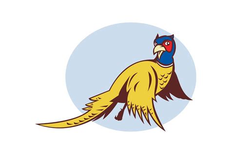 Cartoon Pheasant Bird Flying Masterbundles