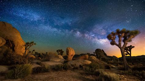 Starry Sky Desert Area Night In Joshua Tree National Park California
