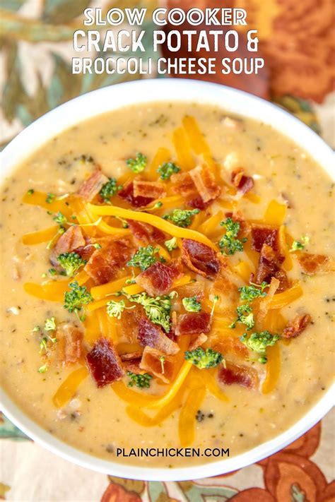 Slow Cooker Crack Potato And Broccoli Cheese Soup Plain Chicken