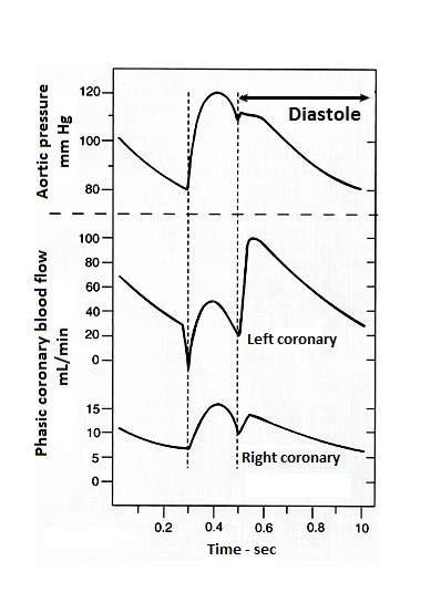 Coronary Blood Flow Aortic Pressure Fig3 Phases Of Diastole And