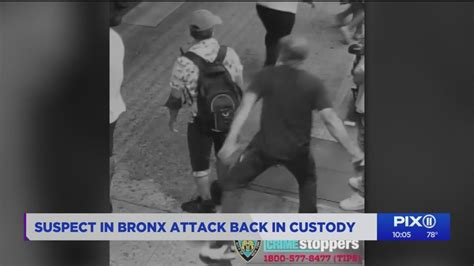 Suspect In Bronx Sucker Punch Attack Back In Jail Youtube