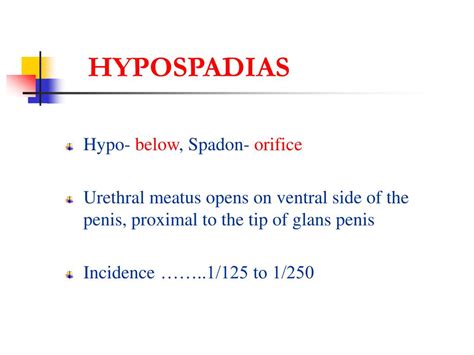 Ppt What Is Hypospadias Its Symptoms Types Causes And Solution Hot