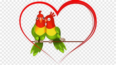 Yellow Collared Lovebird Fischers Lovebird Parrot Love Bird Love