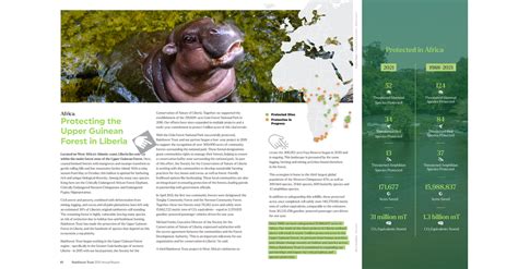 2021 Annual Report — Rainforest Trust Page 10