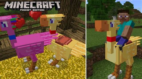 Chocobos Mod Para Minecraft Pe 1 15 Y 1 14 Mod De Karmaland 4 Para