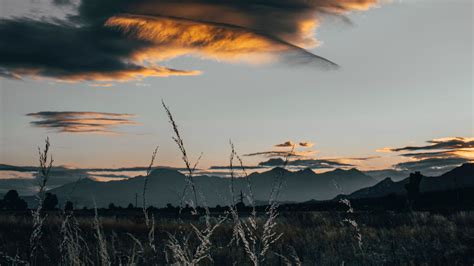 Download Wallpaper 1920x1080 Field Clouds Grass Sunset Twilight