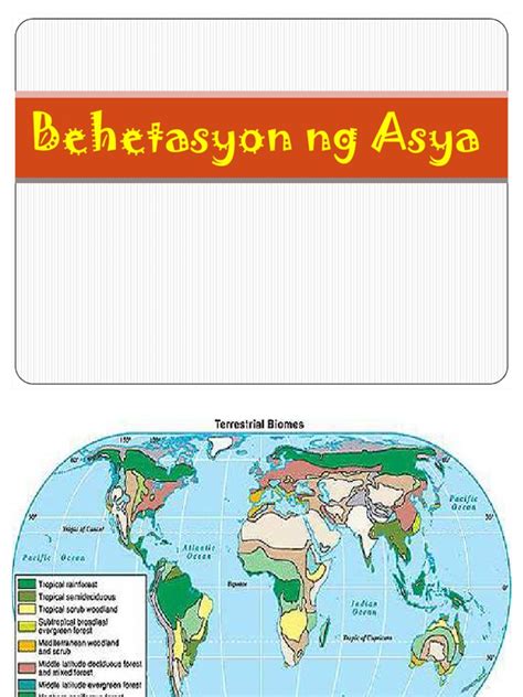 Vegetation Cover Ng Asya Philippin News Collections