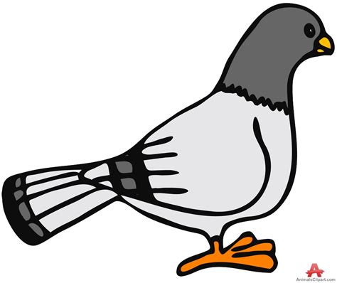 Pigeon Clipart Free Download On Clipartmag