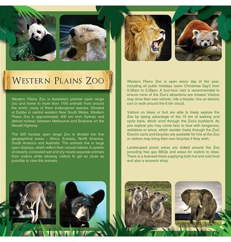 Brochure Design Taronga Western Plains Zoo Zoo Project Zoo