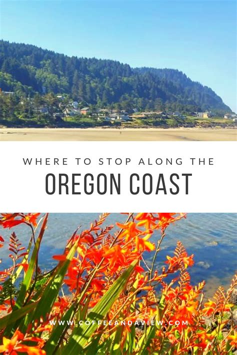 Where To Stop Along The Oregon Coast Road Trip Fun Oregon Coast