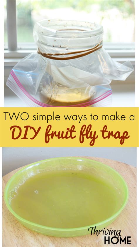 Easy Diy Fruit Fly Traps Thriving Home