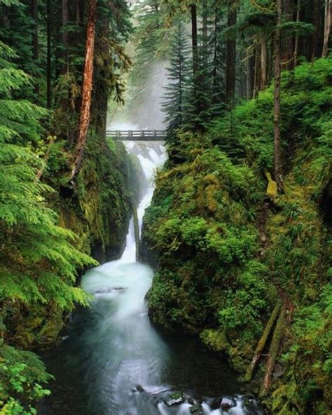 Sol Duc Falls Washington National Parks Places To See Places To Travel