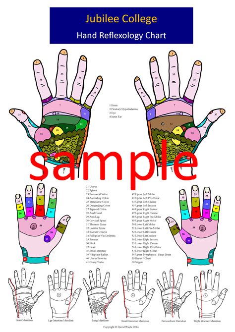 Pin By Poushali Raj On Pressure Points Mudras Hand Reflexology Reflexology Chart Pressure