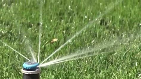 Lawn Sprinkler Head Spraying Water