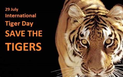 How to draw save tiger poster drawing? International Tiger Day Quotes in Hindi for School Kids ...