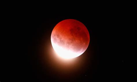 Do Blood Moons Affect Your Zodiac Sign Differently Than