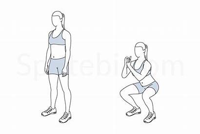 Squat Exercise Hip Guide Exercises Spotebi Illustrated