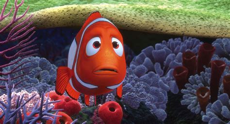 „findet Nemo Namen Das Sind Die Fische Aus Dem Film