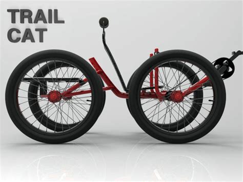 Trail Cat Four Wheel Fat Tire Quad Bicycle Indiegogo