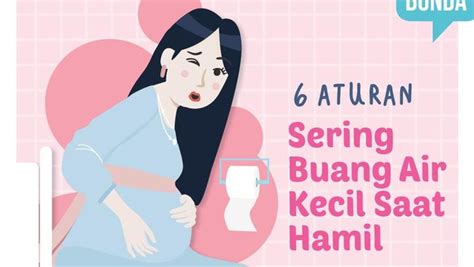 6 Aturan Sering Buang Air Kecil Saat Hamil Bunda Perlu Tahu