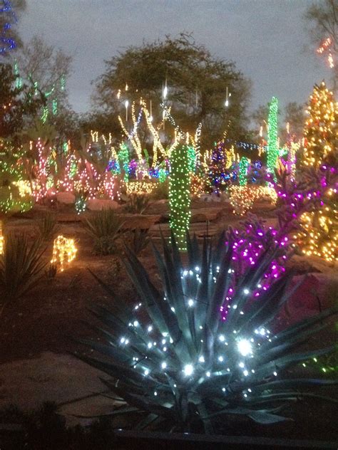 We're keeping things merry & bright all season long in our holiday cactus garden. Xmas in Vegas. Cactus garden at Ethel M's Chocolate ...