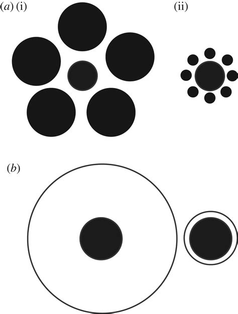 Perception Of Contextual Size Illusions By Honeybees In Restricted And
