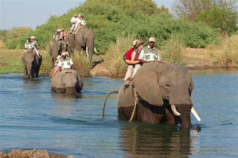 Zambia Safaris Tour Cost And Prices Holidays Vacation Package