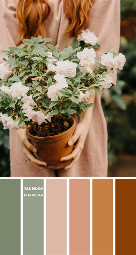 What Colors Match With Brown Best Color Schemes