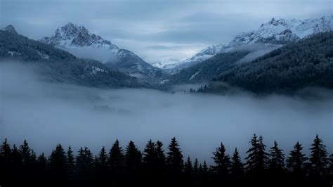 Wallpaper Mountains Fog Trees Valley Dusk Hd Picture Image