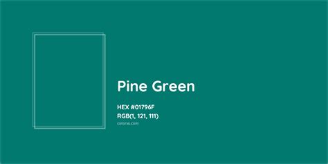 About Pine Green Color Meaning Codes Similar Colors And Paints