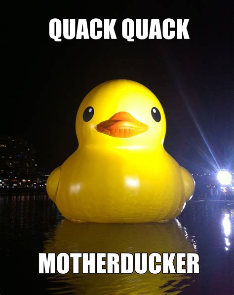giant rubber duck meme