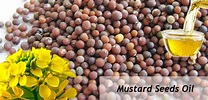 Professional Mini Mustard Oil Mill with Low Price