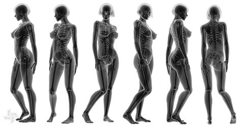 X Ray Female On Behance