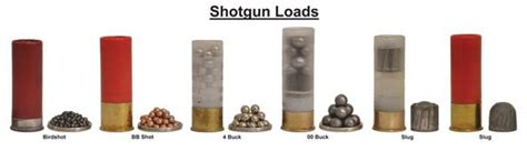 Shotgun/rifle), whereas slug wants all the accuracy boosters; Gun Sport Academy on Twitter: "Shotgun Loads ... #shotgun ...