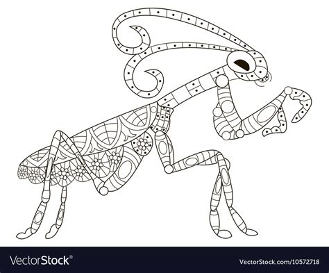 Mantis Coloring For Adults Royalty Free Vector Image