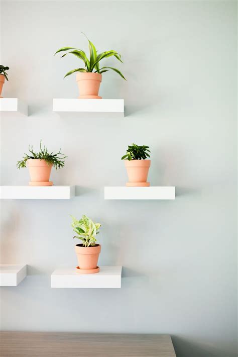 Potted Plant Wall Gallery Make The Cutest Addition To A Fun Bright