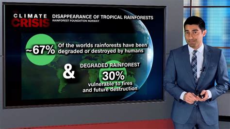 Rainforest Destruction Impacts More Than Climate Change Cnn Video