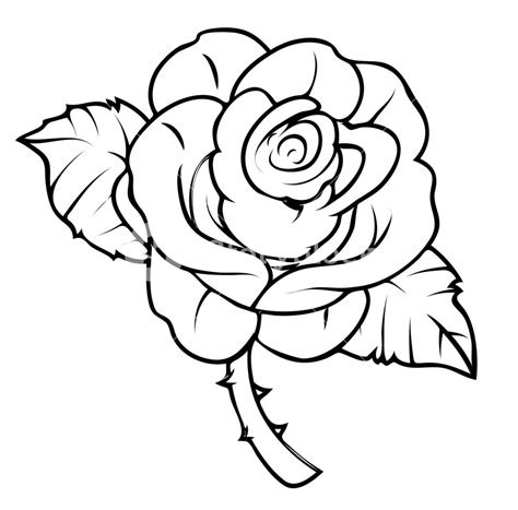 Stunning Compilation: Over 999+ Rose Drawing Images in Full 4K – Awe gambar png