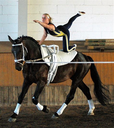 Equestrian Vaulting Or Simply Vaulting Is Most Often Described As
