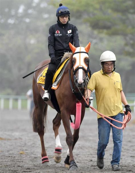 【京成杯ah】クリノプレミアム“穴”どれない 伊藤伸師「どんな競馬もできる」競馬・レースデイリースポーツ Online