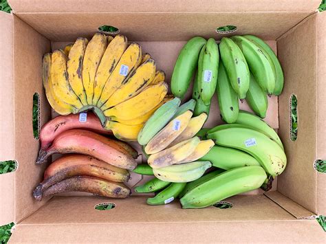 We Tried 10 Kinds of Local Bananas (Because We Could)