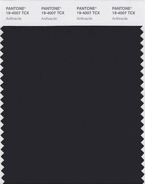 PANTONE Smart 19 4007X Color Swatch Card Anthracite House Paint