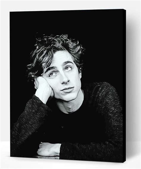 Timothée Black And White Portrait Paint By Numbers Paint By Numbers Pro