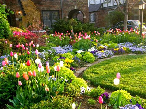 Tulip Time 2015 Spring Landscaping Beautiful Flowers Garden Spring
