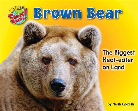 Brown Bear Bearport Publishing