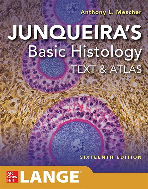 Junqueiras Basic Histology Text And Atlas 16th Edition New Booksnbooks