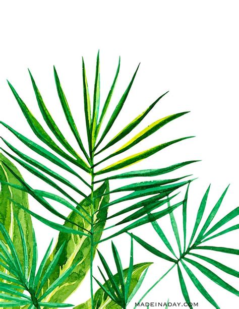 Seach more similar free transparent cliparts ,carttons and silhouettes. Tropical Palm Watercolor Wall Art Printables • Made in a Day