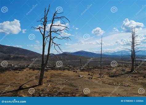 Lifeless Land Stock Image Image Of Landscape Stump Cracked 5788283