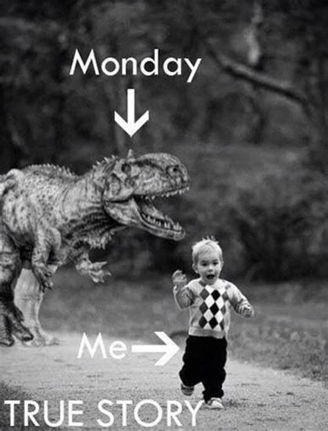 75 Funny Monday Memes