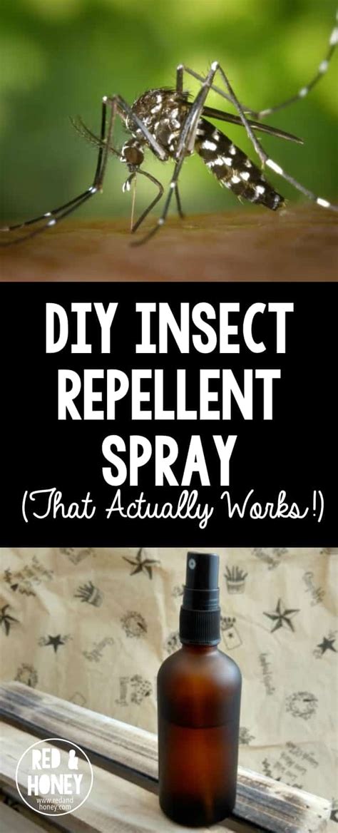 Here are 6 of my favorite natural insect remedies that actually work. DIY Insect Repellent Spray with Essential Oils (That Actually Works!)